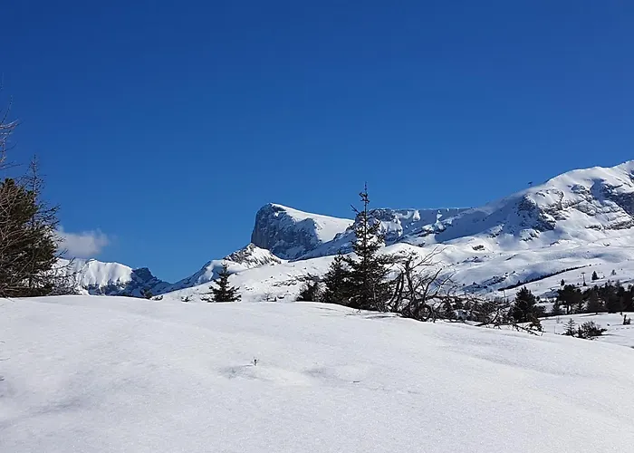 Chalet Gentiane Cosy T2 Labellise Devoluy